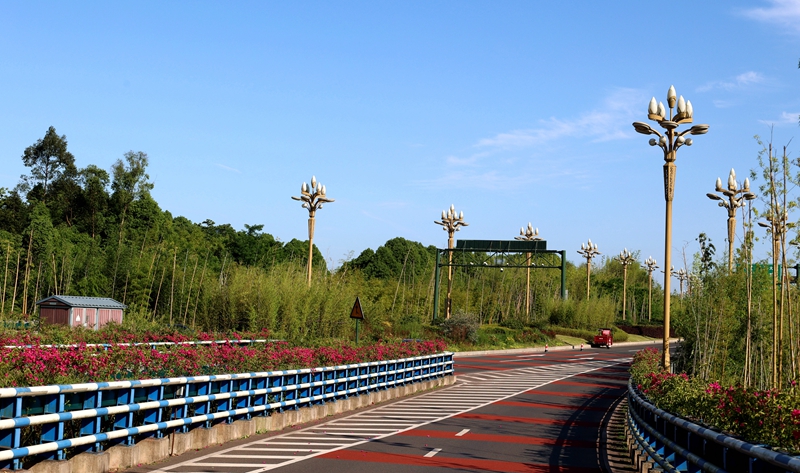 宜賓機(jī)場(chǎng)東連接線綠化景觀工程  (8).JPG